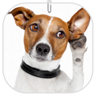 Comportement canin en Corse